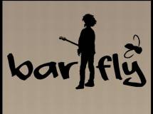 Bar Fly